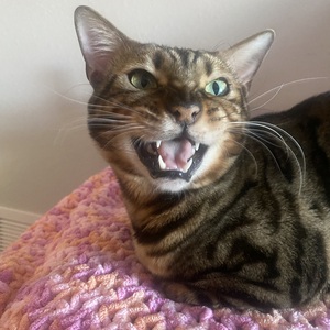 Fundraising Page: Lindsay Miller